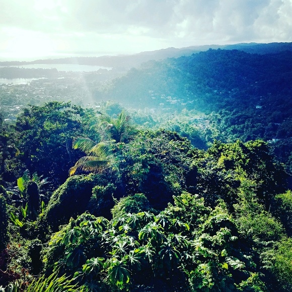 Meet your Posher, Dana - Picture 1 of 1